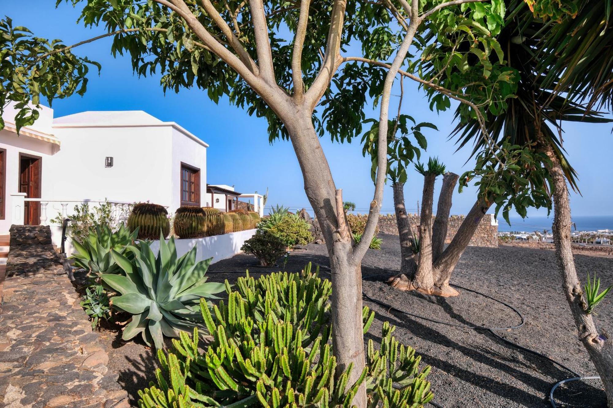 Villa Luciano "Spirit Of The Canaries" Tías Exterior foto